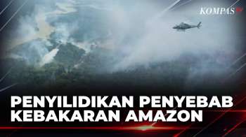 Otoritas Brasil Selidiki Penyebab Kebakaran Di Hutan Amazon | SAPA PAGI