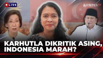 FULL! Singapura & Malaysia Kritik Karhutla, Indonesia Marah? Pengamat Internasional Jelaskan Efeknya