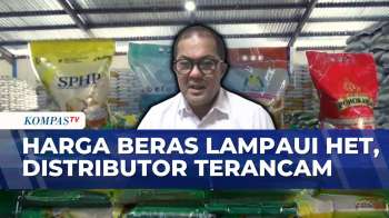Harga Beras Premium Dan Medium Lampaui HET, Pemkot Balikpapan Ambil Langkah | KOMPAS SIANG