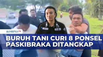 Buruh Tani Ditangkap Usai Diduga Mencuri Delapan Ponsel Peserta Seleksi Paskibraka | BERUT