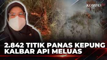Tembus 2.842 Titik Panas! Karhutla Kalbar Merambat hingga Kota Pontianak | SAPA MALAM