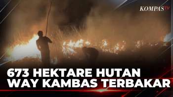 Way Kambas Terbakar! 250 Petugas Tembus Lahan Gambut Padamkan 673 Hektare Hutan | SAPA MALAM