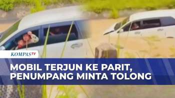 Hindari Pemotor Di Jalan Sempit, Mobil Terjun Ke Saluran Irigasi Di Lampung Timur | BERUT