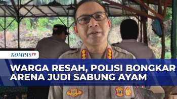 Digerebek Polisi, Arena Sabung Ayam Di Pangkal Pinang Dibongkar Meski Tanpa Aktivitas