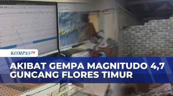 Gempa M4,7 Guncang Flores Timur: Puluhan Rumah Rusak, 60 Kali Gempa Susulan Terjadi