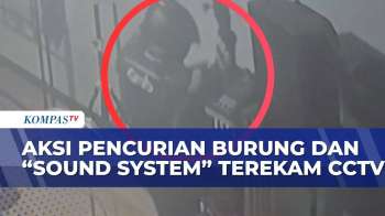 Terekam CCTV! 3 Pencuri Gasak Sound System Dan Burung Murai Di Klaten