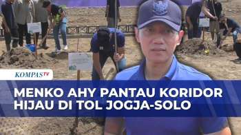 Menko AHY Resmikan Koridor Hijau Tol Jogja-Solo, Sebut Wujud Nyata Komitmen Lingkungan Era Prabowo