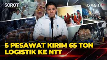 Diterbangkan Lagi! 5 Pesawat Kirim 65 Ton Logistik ke NTT, Seskab Teddy Sebut Total Sudah 253 Ton