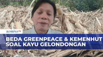 Kayu Banjir Sumatera: Greenpeace Sebut Deforestasi, Kemenhut Klaim Lapuk, Mana Fakta Sebenarnya?
