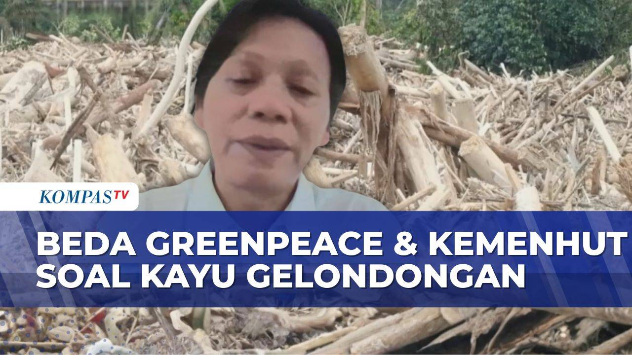 Kayu Banjir Sumatera: Greenpeace Sebut Deforestasi, Kemenhut Klaim Lapuk, Mana Fakta Sebenarnya?