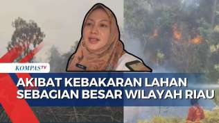 akibat-kebakaran-lahan-melanda-sebagian-besar-wilayah-riau-penyidap-ispa-meningkat-sekolah-libur