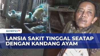 Potret Lansia 77 Tahun Di Bengkulu, Sakit Hingga Hidup Dalam Rumah Tak Layak Bersama Dua Anak