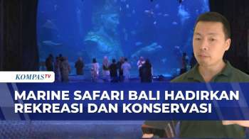 Marine Safari Bali Resmi Dibuka: Taman Bahari Pertama Yang Satukan Edukasi, Rekreasi & Konservasi