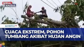 Hujan Deras Disertai Angin Terjang Karawang, Pohon Tumbang Dan Rumah Warga Rusak Parah