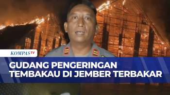 Kebakaran Gudang Pengeringan Tembakau Di Jember, Kerugian Ditaksir Capai Ratusan Juta | SAPA PAGI