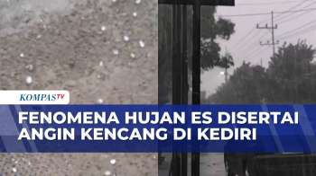Hujan Es Mengguyur Kediri, Pohon Besar Tumbang | SAPA PAGI