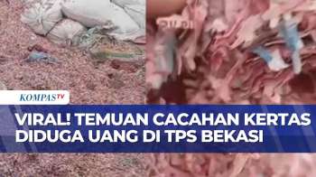 Viral! Tumpukan Cacahan Kertas Diduga Uang Yang Dihancurkan Di TPS Bekasi | KOMPAS PETANG