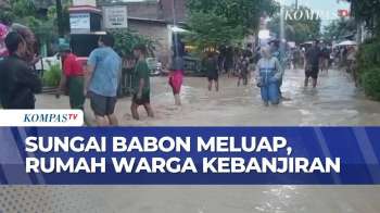 Banjir Imbas Luapan Sungai Babon Di Semarang, Aktivitas Warga Terganggu | KOMPAS SIANG