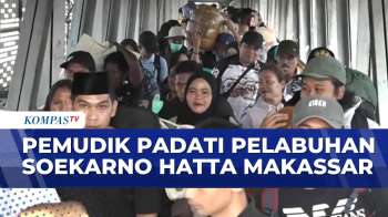 Pemudik Dari Surabaya Tiba Di Pelabuhan Soetta Makassar | KOMPAS PETANG