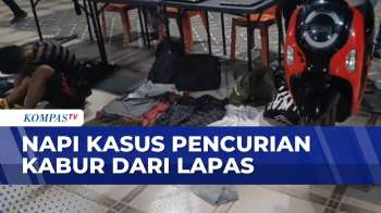 Narapidana Kasus Pencurian yang Kabur dari Lapas di NTT Berhasil Ditangkap| BORGOL