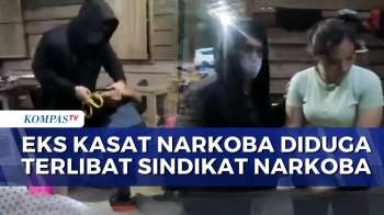 Polisi Tangkap Kaki Tangan Sindikat Narkoba Yang Libatkan Eks Kasat Narkoba Kutai Barat | BORGOL