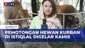 Terbaru! Suasana Usai Salat Id Di Masjid Istiqlal, Pemotongan Hewan Kurban Dilaksanakan Kamis