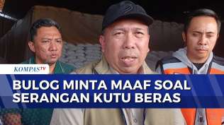 bulog-minta-maaf-dan-tanggung-jawab-soal-serangan-kutu-beras-di-permukiman-warga-karawang