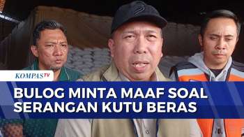 Bulog Minta Maaf Dan Tanggung Jawab Soal Serangan Kutu Beras Di Permukiman Warga Karawang