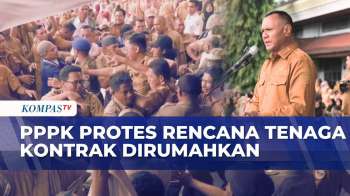 Apel Akbar PPPK Dan ASN Di Tidore Ricuh Usai Rencana Merumahkan Tenaga Kontrak | KOMPAS PETANG