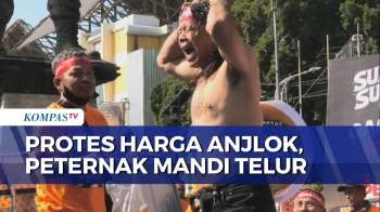 Harga Telur Anjlok, Peternak Ayam Gelar Aksi Mandi Telur dan Bagi Ayam Hidup di Solo | SAPA MALAM