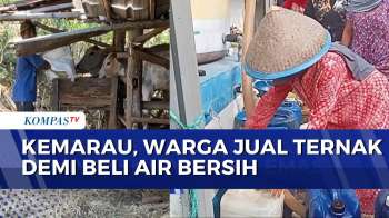 Demi Beli Air Bersih, Warga Di Gunungkidul Jual Ternak Dan Hasil Bumi | KOMPAS PETANG