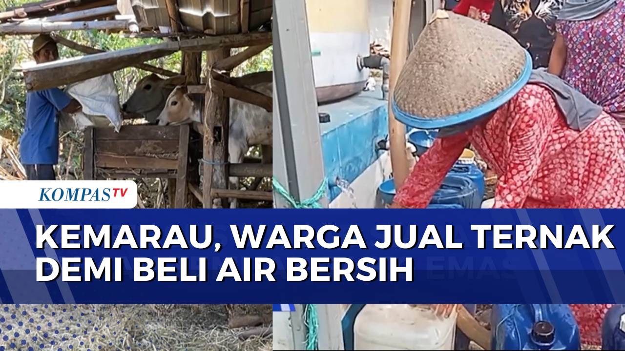 Demi Beli Air Bersih, Warga di Gunungkidul Jual Ternak dan Hasil Bumi | KOMPAS PETANG
