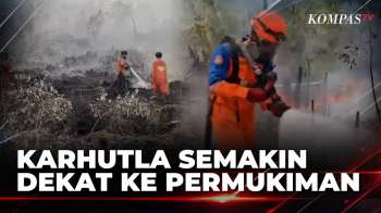 [LIVE] Mengkhawatirkan! Kebakaran Hutan dan Lahan Semakin Mendekati Permukiman Warga