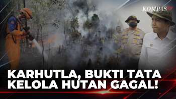 Kasus Karhutla Berulang, Bukti Gagalnya Tata Kelola Hutan? | KOMPAS PETANG