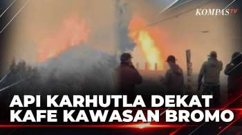 VIDEO AMATIR! Api Membakar Semak Dekat Kafe Bromo Hillside, Asap Tebal Masuk Bangunan |KOMPAS PETANG