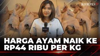 Ayam Potong Di Bandung Makin Mahal, Harga Capai Rp44 Ribu | KOMPAS SIANG