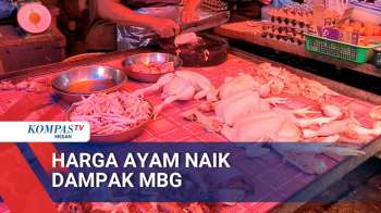 Diduga Gara-Gara MBG Pasokan Daging Ayam Ke Pedagang Menurun