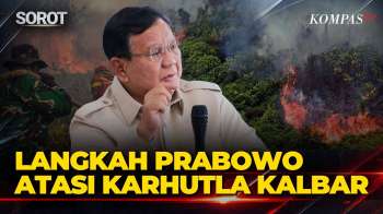 Seskab Teddy: Presiden Prabowo Tambah 3 Batalyon TNI-6 Heli Water Bombing Dikirim Atasi Karhutla