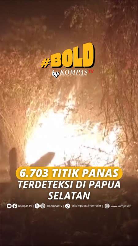 BMKG Deteksi 6.703 Titik Panas Di Papua Selatan, Warga Diimbau Waspada Karhutla