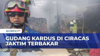 Gudang Kardus Di Ciracas Terbakar, 12 Mobil Damkar Dikerahkan Padamkan Api