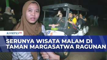 Serunya Wisata Malam Di Taman Margasatwa Ragunan, Lihat Trenggiling Hingga Harimau Sumatra!