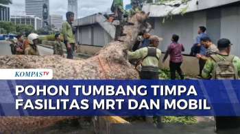 Pohon Setinggi 20 Meter Tumbang Timpa Fasilitas MRT, Penumpang Dievakuasi | KOMPAS PETANG