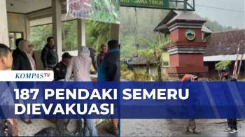 187 Pendaki Di Ranu Kumbolo Selamat Dari Erupsi Gunung Seameru | KOMPAS SIANG