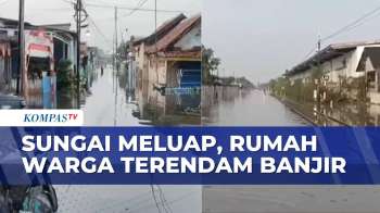 Rumah Warga Dan Rel Kereta Di Pekalongan Terendam Banjir | KOMPAS SIANG