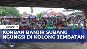 Korban Banjir Di Subang Mengungsi Di Kolong Jembatan Pamanukan