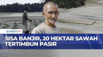 20 Hektar Sawah Di Bireuen Tertutup Pasir Sisa Banjir, Petani Kehilangan Mata Pencaharian