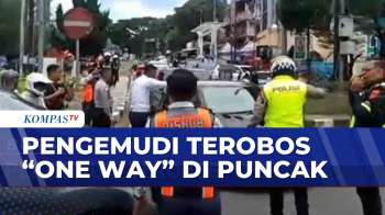 Aksi Pengemudi Terobos One Way Di Puncak | BORGOL