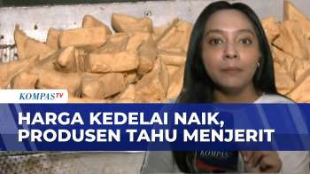 Tak Ubah Ukuran, Perajin Tahu Pilih UntungTipis | KOMPAS SIANG