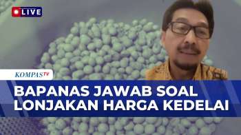 [FULL] Respons Bapanas Soal Melonjaknya Harga Kedelai, Apa Penyebabnya?