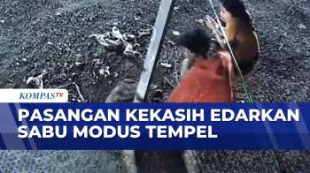 Pasangan Kekasih di Makassar Jadi Pengedar Sabu Dengan Modus Tempel di Rumah Warga | BORGOL
